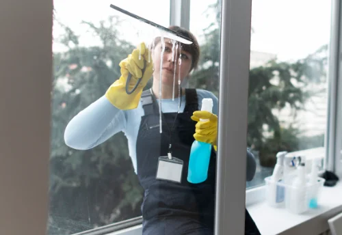 Nettoyage de vitres intérieures et extérieures à Selommes